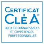 LOGO clea